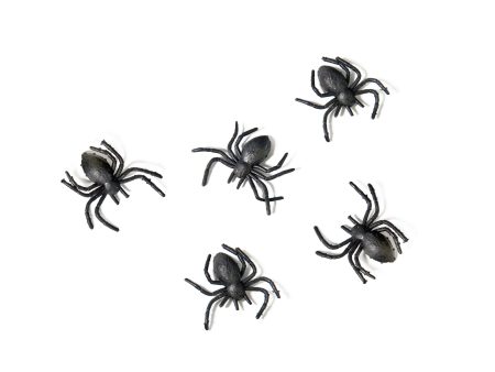 Black Plastic Spiders 10ct Discount