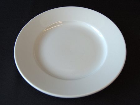 TN World 10  Dinner plate Online Hot Sale