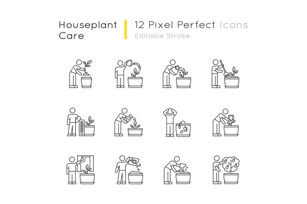 Houseplant care pixel perfect linear icons set For Sale