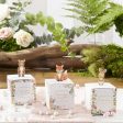 Floral Woodland Baby Favor Boxes 24ct Discount