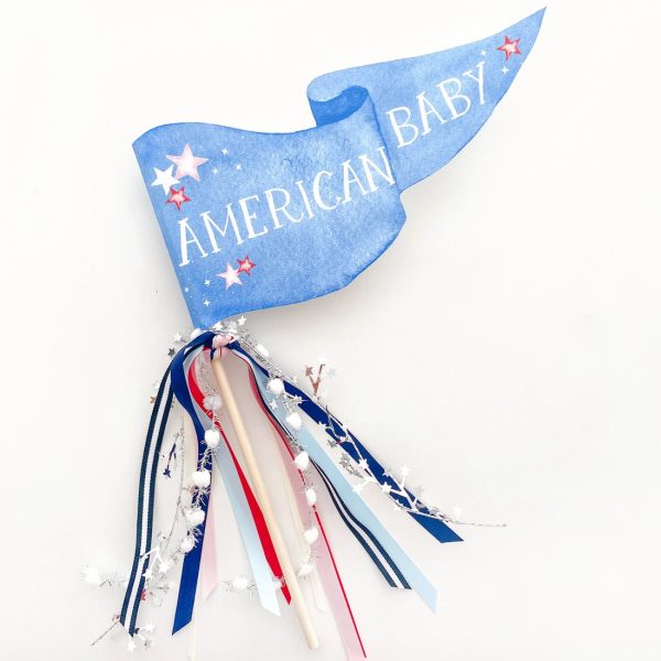 American Baby Pennant Flag on Sale