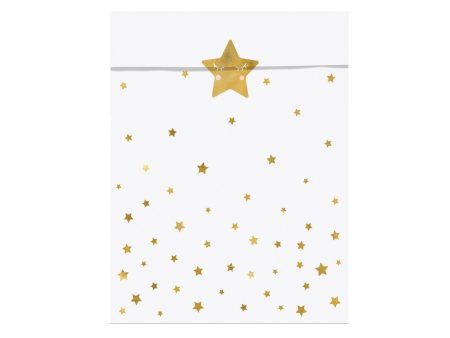 Little Star Treat Bags 6ct Supply