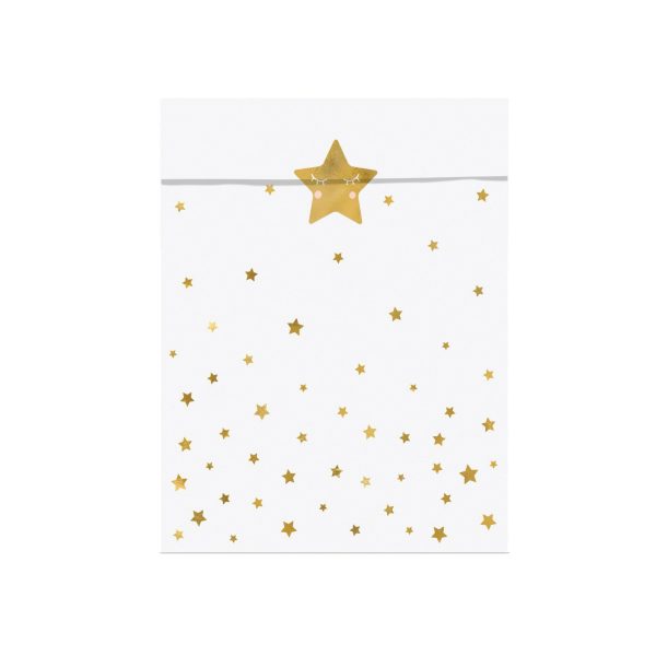 Little Star Treat Bags 6ct Supply