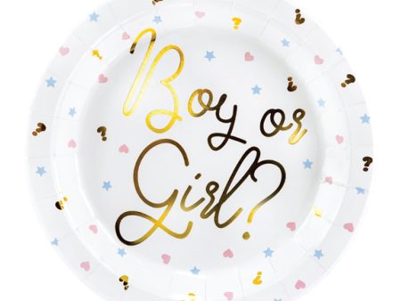 Boy or Girl Gender Reveal Lunch Plates 6ct Supply